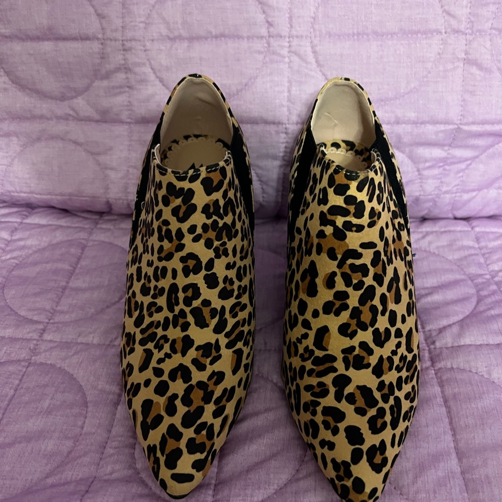 Leopard booties by shoeDazzle